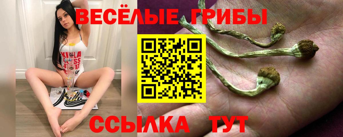 Галлюциногенные грибы ЛСД Донской