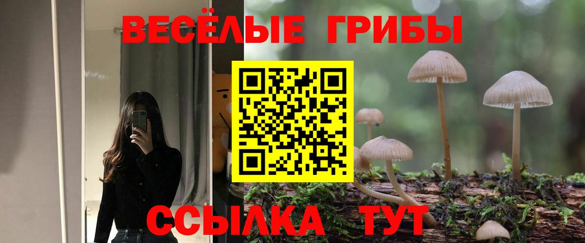 Псилоцибиновые грибы ЛСД  Галлюциногенные грибы Magic Shrooms  Вход с VPN  где купить наркотик  Донской 